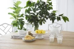 Newport Round Pedestal Table – 150cm 24 Newport Round Pedestal Table – 150cm -Abide Interiors LOW RES Abide Interiors 137