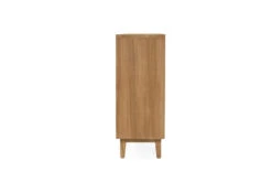 Ricardo Bookcase -Abide Interiors Ricardo Bookcase 4
